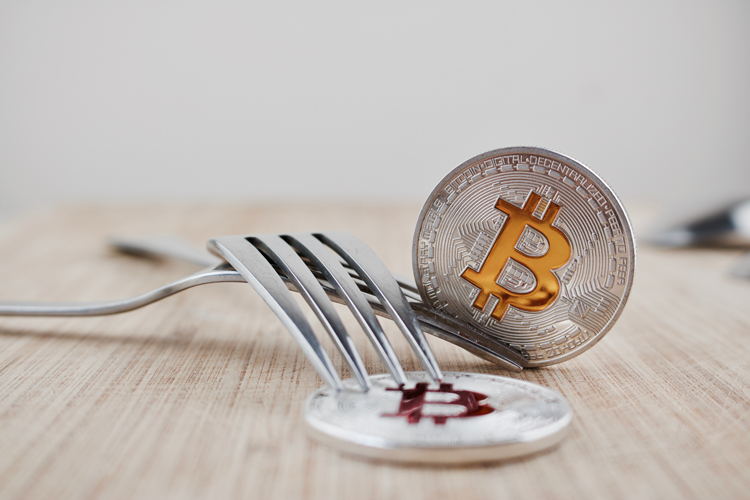 bitcoin november hard fork